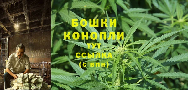 ПСИЛОЦИБИНОВЫЕ ГРИБЫ Алзамай