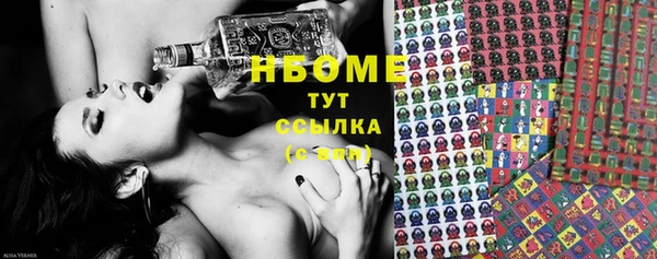 гидра Новозыбков