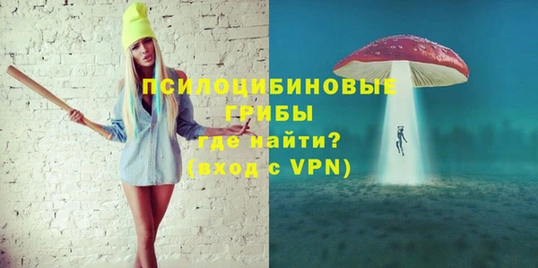 ПСИЛОЦИБИНОВЫЕ ГРИБЫ Алзамай