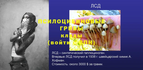 ПСИЛОЦИБИНОВЫЕ ГРИБЫ Алзамай